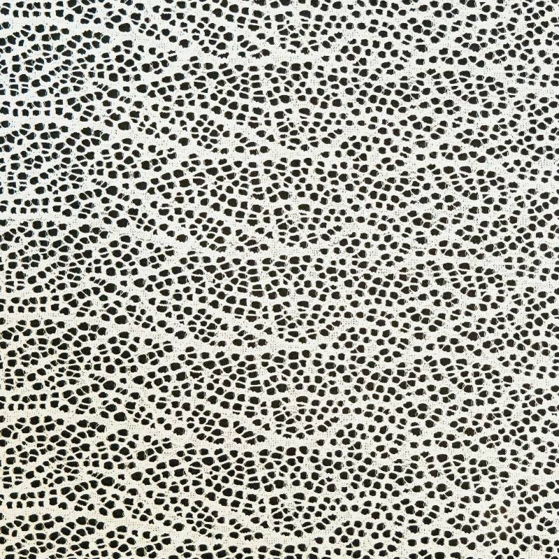 Embroidery Lace Fabric - BV-31549